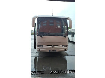 Шкільний автобус IVECO