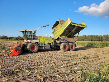 Сільськогосподарська техніка CLAAS Jaguar