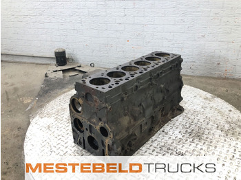 Двигун та запчастини DAF