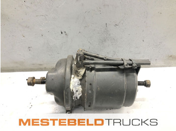 Деталі гальмівної системи DAF