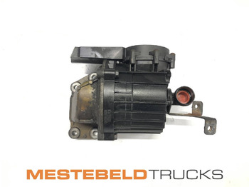 : фото в шапці сторінки