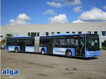 Зчленований автобус MAN Lion's City A23