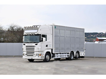Для перевезення худоби вантажівка SCANIA R 500