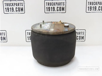 Повітряна підвіска DAF