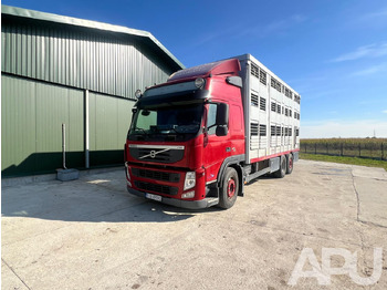 Для перевезення худоби вантажівка VOLVO FM 410