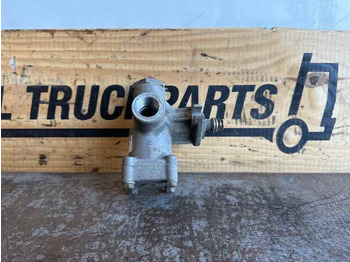 : фото в шапці сторінки