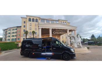 Мікроавтобус MERCEDES-BENZ Sprinter 319