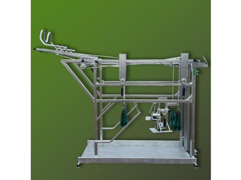 : фото в шапці сторінки