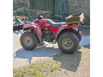Квадроцикл Kawasaki KLF 250: фото 3