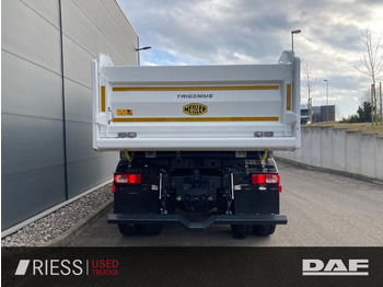 Новий Самоскид вантажівка DAF XFc 480 FAT 6x4 Intarder Bordmatik Trigenius: фото 5