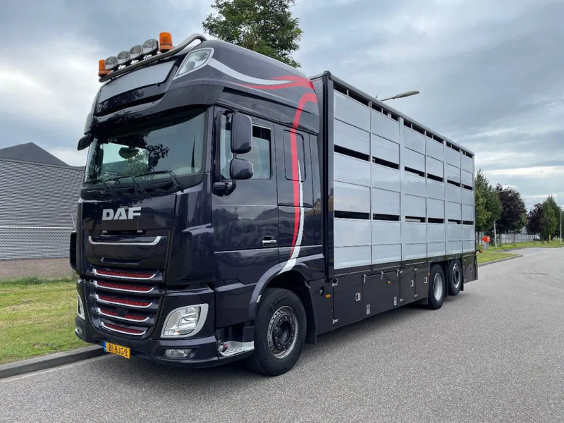 DAF XF 460 2017 berdex 3 lagen varkens - Для перевезення худоби вантажівка: фото 1 DAF XF 460 2017 berdex 3 lagen varkens - Для перевезення худоби вантажівка: фото 1