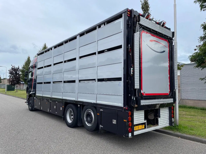 DAF XF 460 2017 berdex 3 lagen varkens - Для перевезення худоби вантажівка: фото 2 DAF XF 460 2017 berdex 3 lagen varkens - Для перевезення худоби вантажівка: фото 2