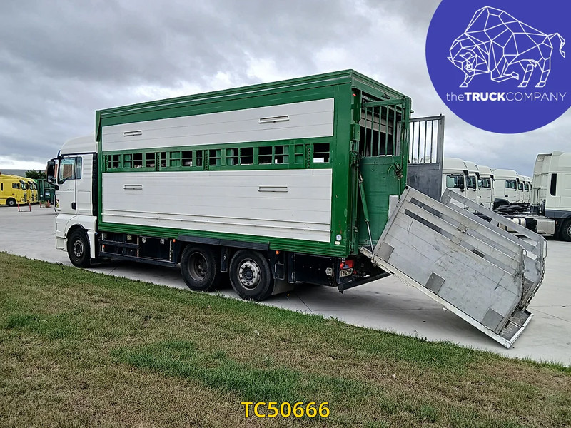 MAN TGX 460 - Для перевезення худоби вантажівка: фото 3 MAN TGX 460 - Для перевезення худоби вантажівка: фото 3