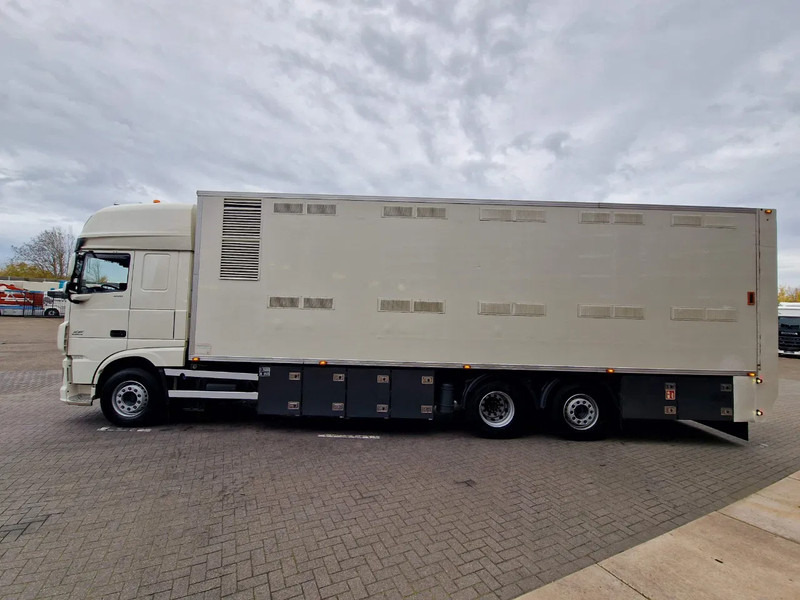 DAF XF 440 SuperSpaceCab 6x2*4 - 2 deck Closed Livestock - 40M2 - Filtersystem - Для перевезення худоби вантажівка: фото 4 DAF XF 440 SuperSpaceCab 6x2*4 - 2 deck Closed Livestock - 40M2 - Filtersystem - Для перевезення худоби вантажівка: фото 4