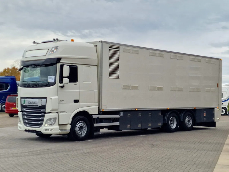 DAF XF 440 SuperSpaceCab 6x2*4 - 2 deck Closed Livestock - 40M2 - Filtersystem - Для перевезення худоби вантажівка: фото 3 DAF XF 440 SuperSpaceCab 6x2*4 - 2 deck Closed Livestock - 40M2 - Filtersystem - Для перевезення худоби вантажівка: фото 3