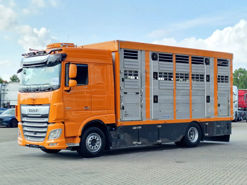 DAF XF 530 4x2 - Livestock Menke 2 deck water & ventilation - Для перевезення худоби вантажівка: фото 5 DAF XF 530 4x2 - Livestock Menke 2 deck water & ventilation - Для перевезення худоби вантажівка: фото 5