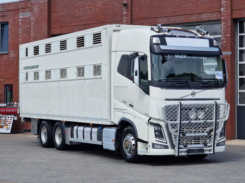 Volvo FH 16.750 6x6/6x4 2 deck livestock - Full air - VEB + - Для перевезення худоби вантажівка: фото 2 Volvo FH 16.750 6x6/6x4 2 deck livestock - Full air - VEB + - Для перевезення худоби вантажівка: фото 2