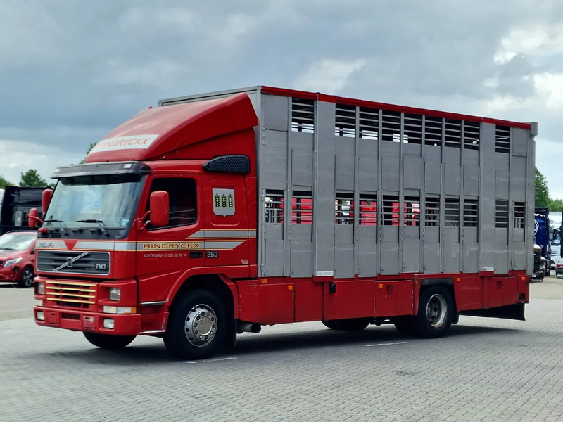 Volvo FM 250 4x- Livestock 2 deck - Lifting floors - Loadlift - Manual gearbox - Для перевезення худоби вантажівка: фото 3 Volvo FM 250 4x- Livestock 2 deck - Lifting floors - Loadlift - Manual gearbox - Для перевезення худоби вантажівка: фото 3