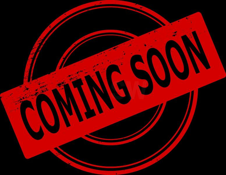 Volvo EC300ENL - Гусеничний екскаватор: фото 1 Volvo EC300ENL - Гусеничний екскаватор: фото 1