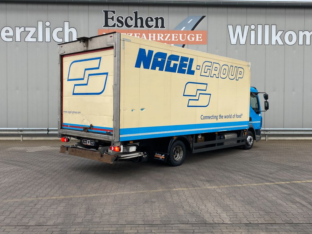 DAF LF 230 Thermo-King T800R*Diesel/Netz*2Verdampfer - Рефрижератор вантажівка: фото 5 DAF LF 230 Thermo-King T800R*Diesel/Netz*2Verdampfer - Рефрижератор вантажівка: фото 5