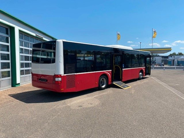 MAN A 21 Lions City KLIMA EURO 6 ZF EcoLife - Міський автобус: фото 4 MAN A 21 Lions City KLIMA EURO 6 ZF EcoLife - Міський автобус: фото 4