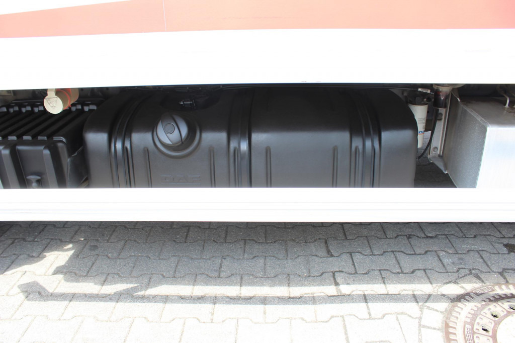 Daf LF 260 E6 Carrier Supra 550 Strom Tür LBW - Рефрижератор вантажівка: фото 4 Daf LF 260 E6 Carrier Supra 550 Strom Tür LBW - Рефрижератор вантажівка: фото 4