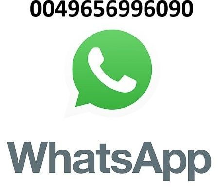 Faun Variopress II 528 V 19 Faun Variopress II 528 V 19 - Сміттєвози: фото 3 Faun Variopress II 528 V 19 Faun Variopress II 528 V 19 - Сміттєвози: фото 3