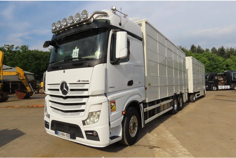 Mercedes-Benz Actros 2551 BERDEX 3 decks, All options + Berdex 12/ 2007 - Для перевезення худоби вантажівка: фото 3 Mercedes-Benz Actros 2551 BERDEX 3 decks, All options + Berdex 12/ 2007 - Для перевезення худоби вантажівка: фото 3
