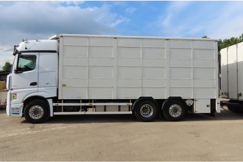 Mercedes-Benz Actros 2551 BERDEX 3 decks, All options + Berdex 12/ 2007 - Для перевезення худоби вантажівка: фото 4 Mercedes-Benz Actros 2551 BERDEX 3 decks, All options + Berdex 12/ 2007 - Для перевезення худоби вантажівка: фото 4
