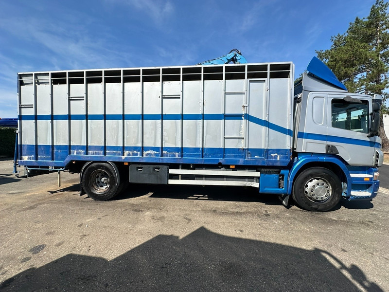 Scania P310 4x2 LIVESTOCK / VEEWAGEN / TIERTRANSPORT / BETAILLERE - ALU BOX 7m - MANUAL - A/C - BELGIAN TRUCK - Для перевезення худоби вантажівка: фото 4 Scania P310 4x2 LIVESTOCK / VEEWAGEN / TIERTRANSPORT / BETAILLERE - ALU BOX 7m - MANUAL - A/C - BELGIAN TRUCK - Для перевезення худоби вантажівка: фото 4
