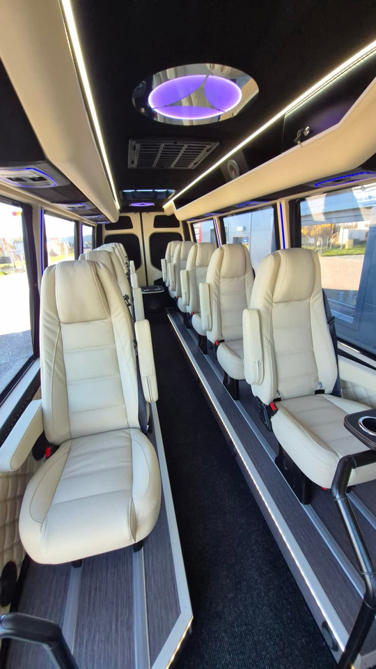 Мікроавтобус, Пасажирський фургон MERCEDES-BENZ Sprinter 519 4x4 high and low drive: фото 11