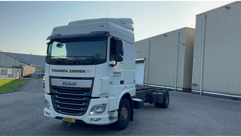 DAF XF 440 nette XF106 Chassis cabine - Вантажівка шасі: фото 1 DAF XF 440 nette XF106 Chassis cabine - Вантажівка шасі: фото 1