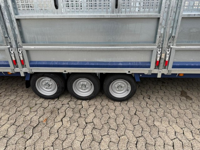 Brian James Cargo Connect Universalanhänger 476-6022-35-3-12, 6000 x 2250 x 300 mm, 3,5 to., 12 Zoll - Причеп для легкових автомобілів: фото 4 Brian James Cargo Connect Universalanhänger 476-6022-35-3-12, 6000 x 2250 x 300 mm, 3,5 to., 12 Zoll - Причеп для легкових автомобілів: фото 4