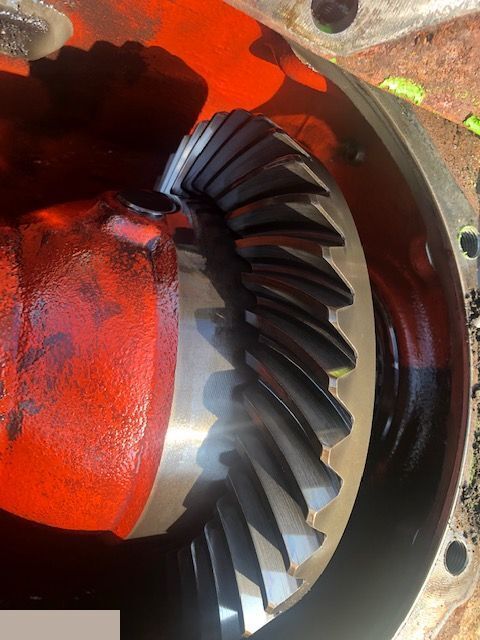 Merlo - Mechanizm Róźnicowy Atak Półosie Koło talerzowe - Диференціал в категорії Сільськогосподарська техніка: фото 2 Merlo - Mechanizm Róźnicowy Atak Półosie Koło talerzowe - Диференціал в категорії Сільськогосподарська техніка: фото 2