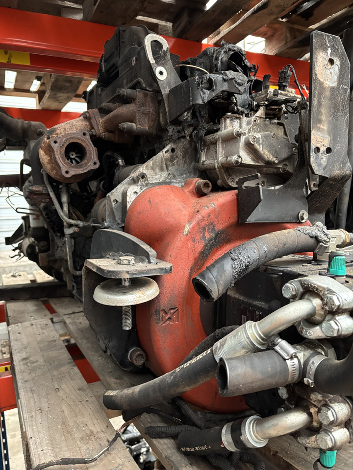 Merlo P 34.7 Silnik Blok Pompa Kolektor Wał Miska CZĘŚCI - Двигун та запчастини в категорії Будівельна техніка: фото 2 Merlo P 34.7 Silnik Blok Pompa Kolektor Wał Miska CZĘŚCI - Двигун та запчастини в категорії Будівельна техніка: фото 2