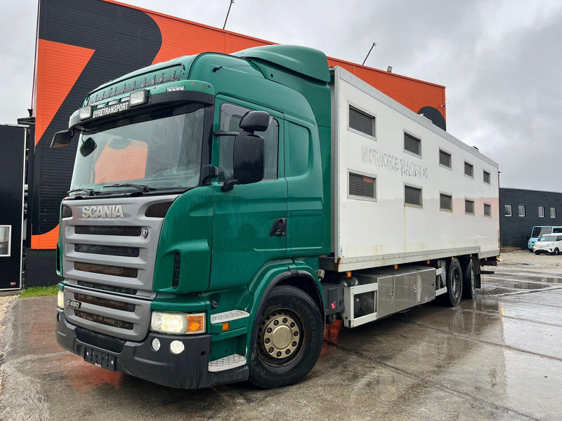 Scania G 480 6x2*4 BOX L=9212 mm / COOLANT LEAKAGE ON 3 RD CYLINDER - Для перевезення худоби вантажівка: фото 2 Scania G 480 6x2*4 BOX L=9212 mm / COOLANT LEAKAGE ON 3 RD CYLINDER - Для перевезення худоби вантажівка: фото 2