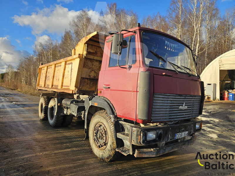 Maz 551669 - Самоскид вантажівка: фото 1 Maz 551669 - Самоскид вантажівка: фото 1