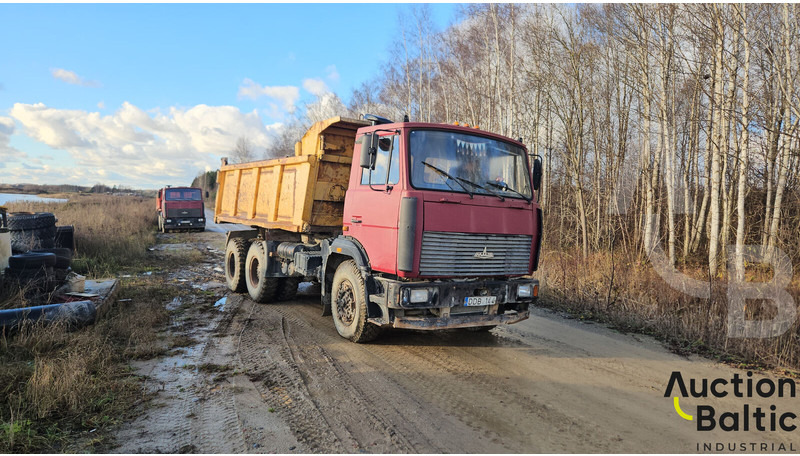 Maz 551669 - Самоскид вантажівка: фото 2 Maz 551669 - Самоскид вантажівка: фото 2
