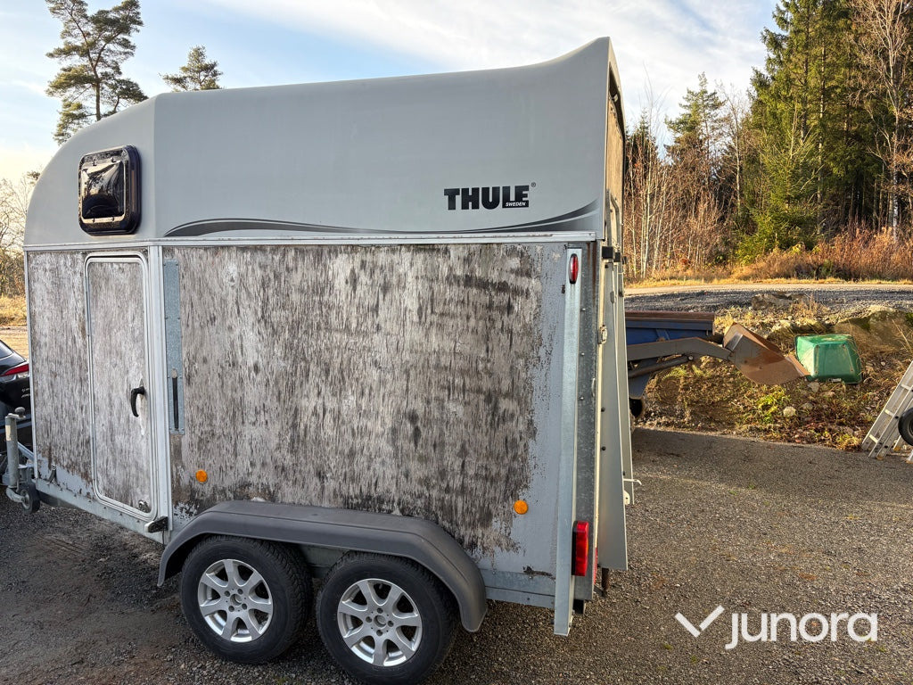 Hästtransport - Thule 150 E5 - Причіп коневоз: фото 2 Hästtransport - Thule 150 E5 - Причіп коневоз: фото 2