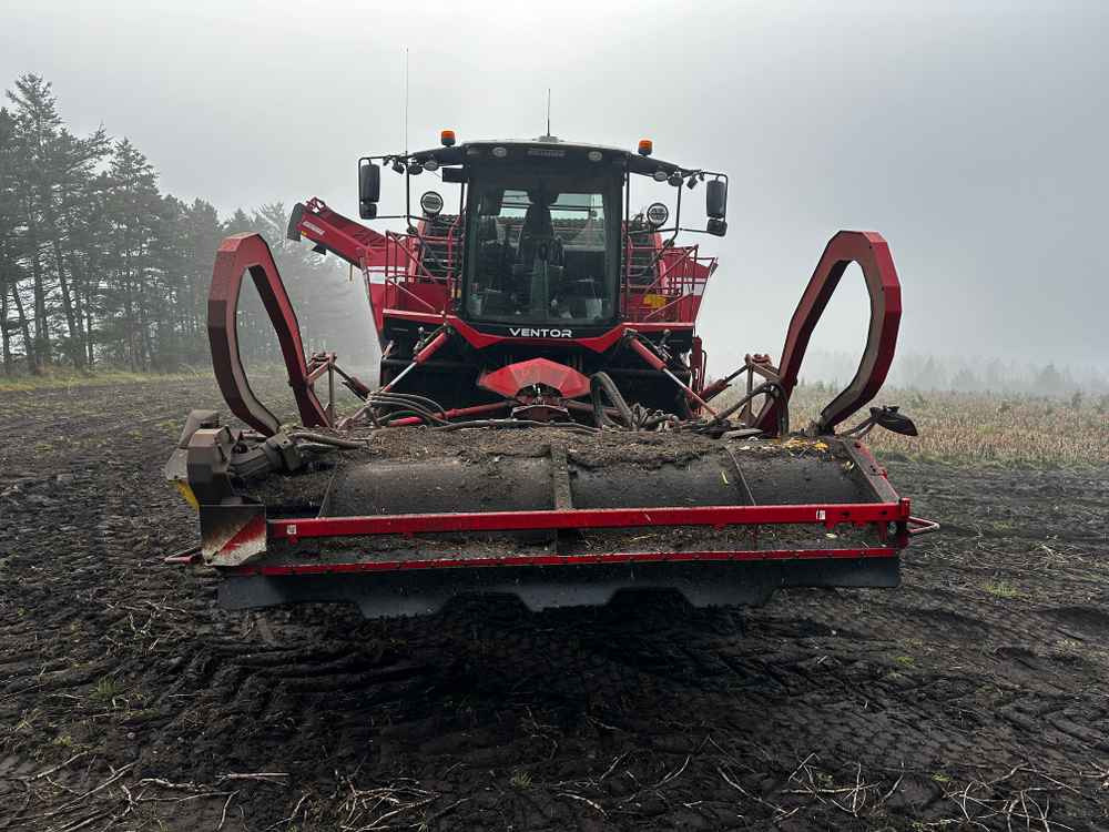 Grimme VENTOR 4150 ClodSep - Комбайн: фото 5 Grimme VENTOR 4150 ClodSep - Комбайн: фото 5