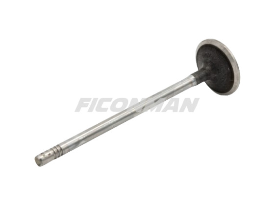Iveco Daily Fiat Ducato F1C Intake Valve 504072531 504238926 - Клапан в категорії Kомерційні автомобілі: фото 1 Iveco Daily Fiat Ducato F1C Intake Valve 504072531 504238926 - Клапан в категорії Kомерційні автомобілі: фото 1