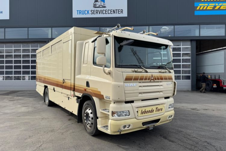 DAF CF410 4x2 - Коневоз: фото 3 DAF CF410 4x2 - Коневоз: фото 3