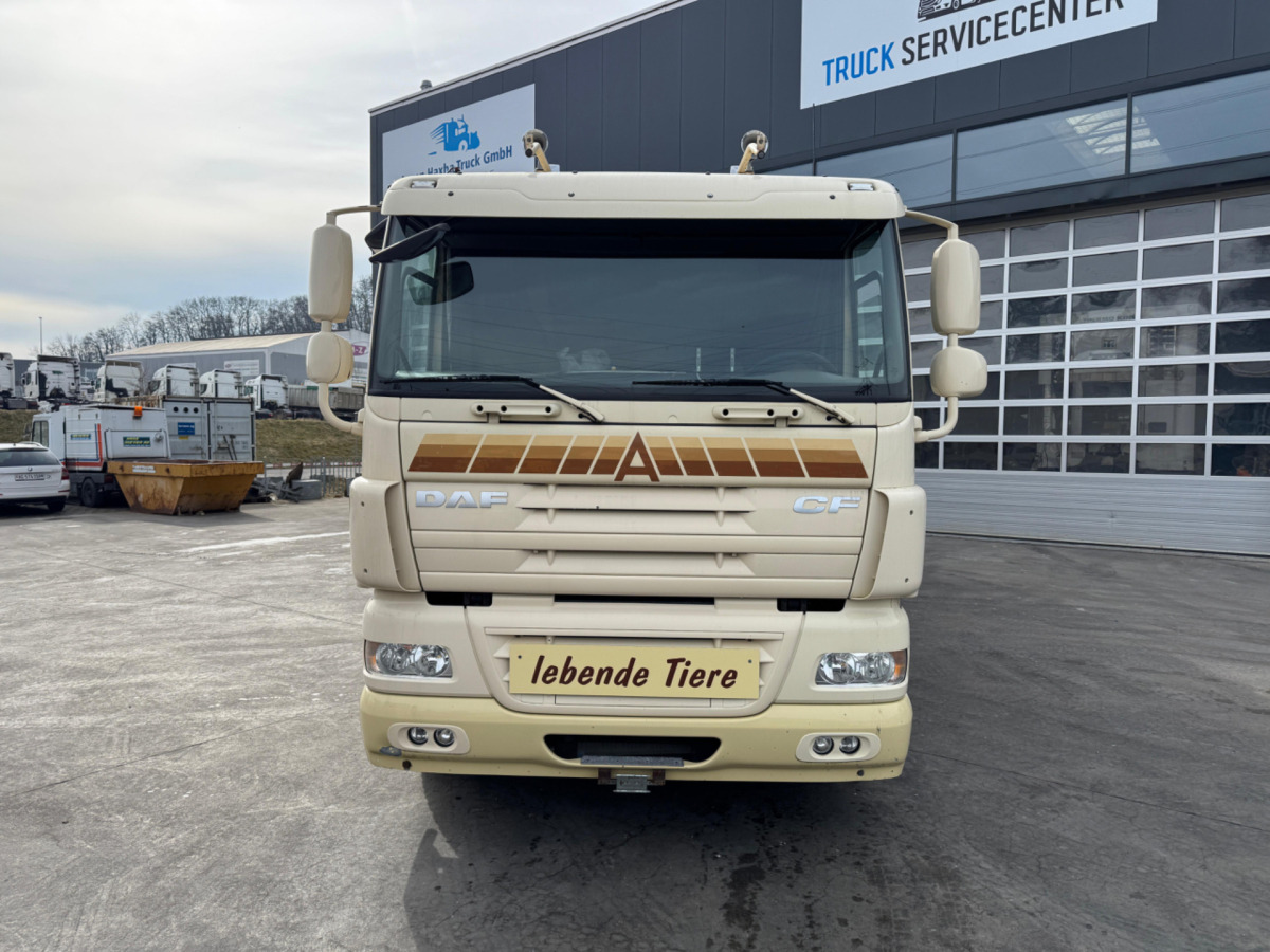 DAF CF410 4x2 - Для перевезення худоби вантажівка: фото 2 DAF CF410 4x2 - Для перевезення худоби вантажівка: фото 2