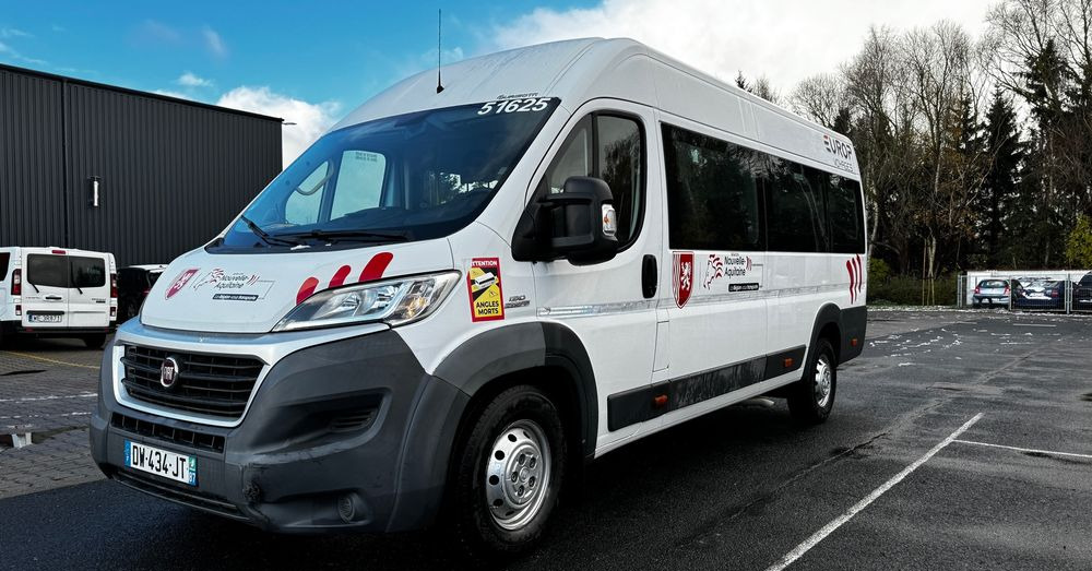 Fiat Ducato / 17 miejsc / EURO 6/ IGŁA !!!/ Cena:75000 zł netto - Мікроавтобус, Пасажирський фургон: фото 1 Fiat Ducato / 17 miejsc / EURO 6/ IGŁA !!!/ Cena:75000 zł netto - Мікроавтобус, Пасажирський фургон: фото 1