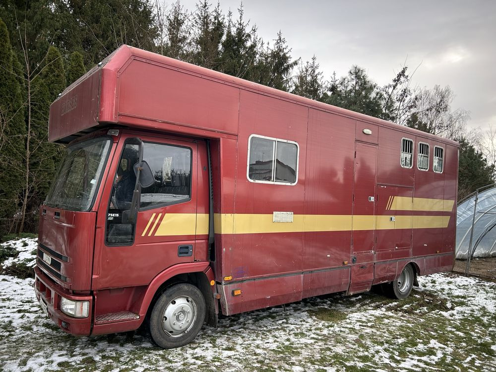 Kamper koniowoz Iveco 2w1 - Коневоз: фото 1 Kamper koniowoz Iveco 2w1 - Коневоз: фото 1