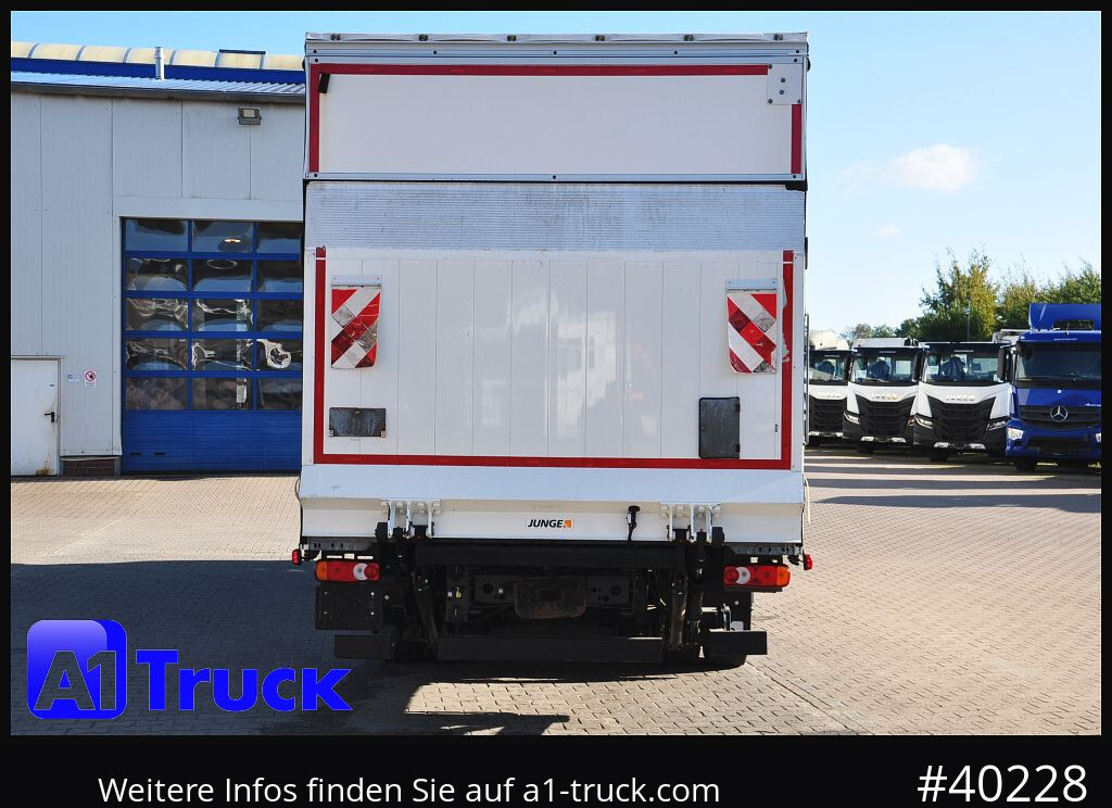 RENAULT D 280,  4x2, Ladebordwand, LBW, TÜV 06/2026 в лізинг RENAULT D 280,  4x2, Ladebordwand, LBW, TÜV 06/2026: фото 10