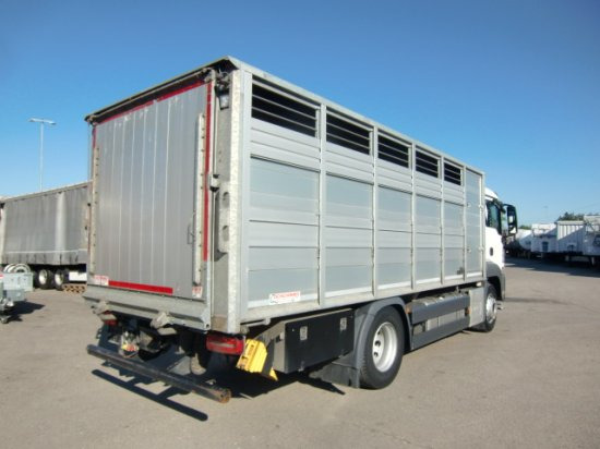 MAN TGS 18.420 Tiertransporter,Euro 6, Manual Seilwinde, el. Ladebordwand Voll Luft - Коневоз: фото 4 MAN TGS 18.420 Tiertransporter,Euro 6, Manual Seilwinde, el. Ladebordwand Voll Luft - Коневоз: фото 4