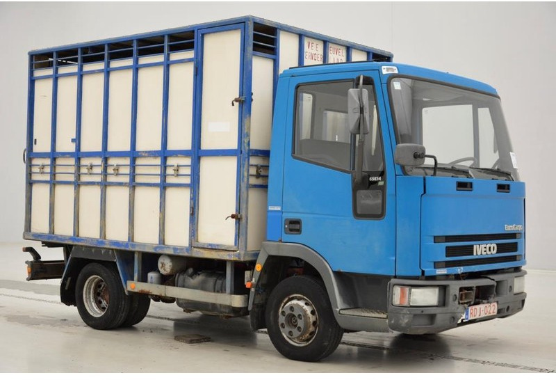 Iveco 65E14* - Для перевезення худоби вантажівка: фото 3 Iveco 65E14* - Для перевезення худоби вантажівка: фото 3