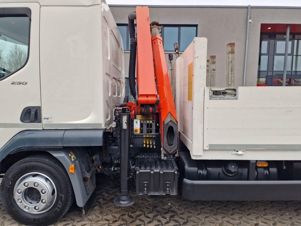Вантажівка з маніпулятором, Бортова вантажівка/ Платформа DAF LF 250FA / Palfinger PK8501A: фото 11