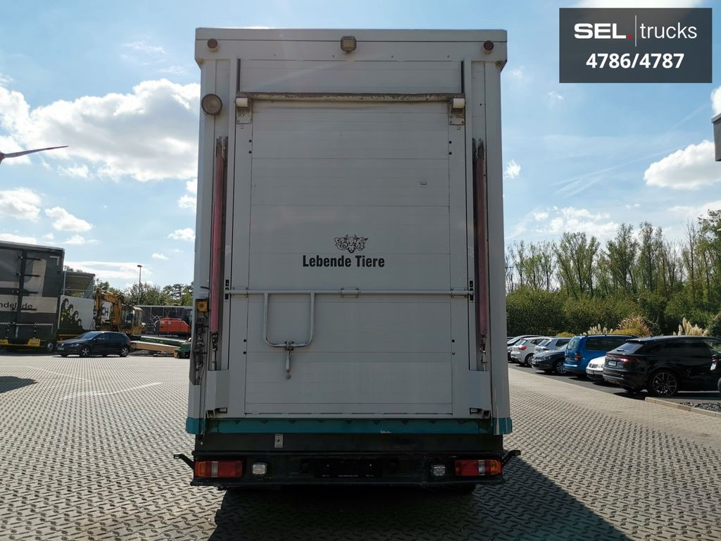 Для перевезення худоби вантажівка DAF XF 105.460  / Intarder / 4 Stock / KOMPLETT !: фото 6
